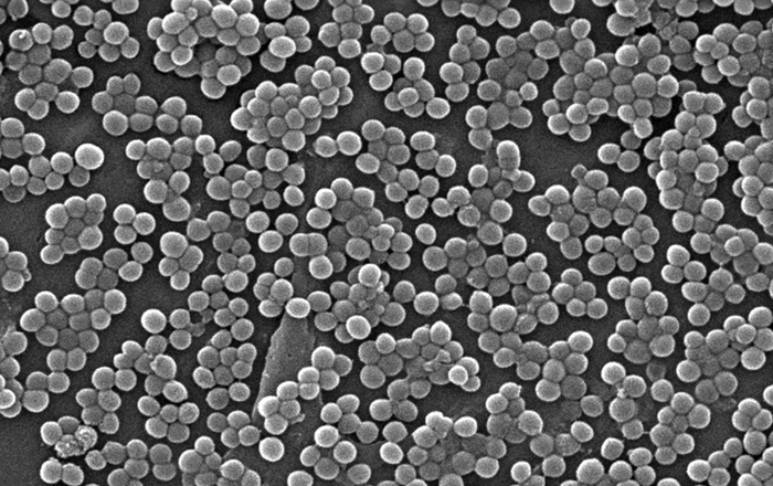 Emerging Diseases and Infection Control