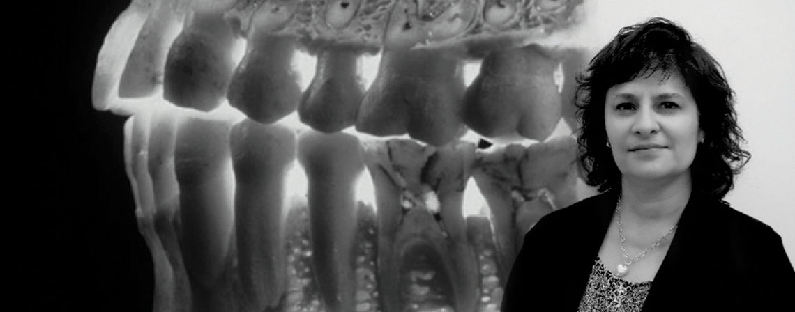 Clinical Assessment Process and Clinical Decision Making in the Patient Centred Care - Rational Dental Care
