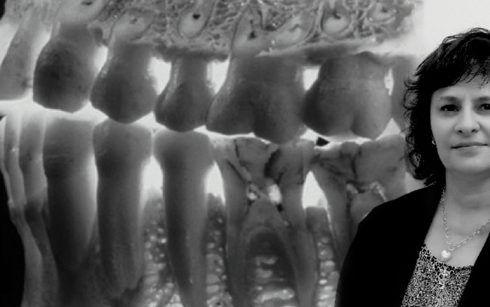 Clinical Assessment Process and Clinical Decision Making in the Patient Centred Care - Rational Dental Care