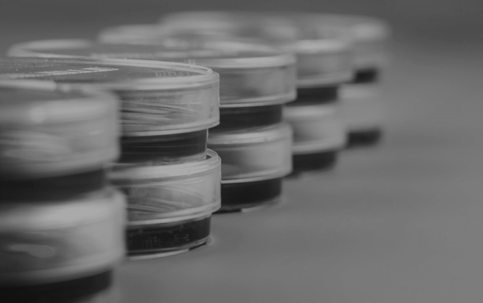 That’s Gotta Bug You!: A Look at Microbial Challenges That Impact Oral and Systemic Health